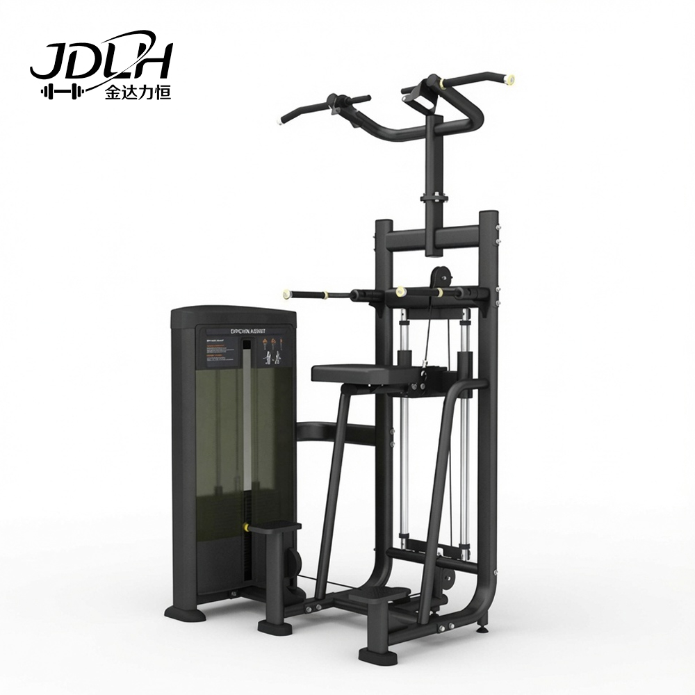 Selectorized Assisted Chin & Dip BQ08 from the Precor Series