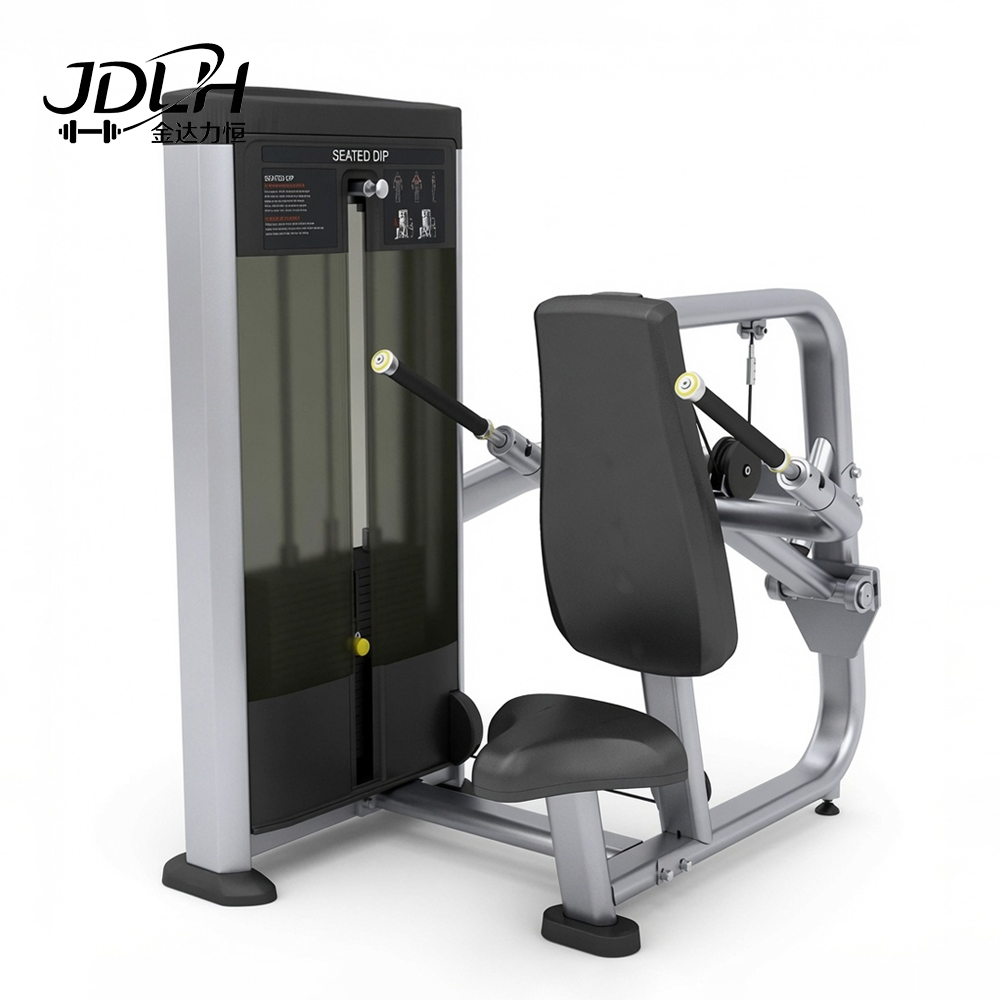 Seated Dip BQ16